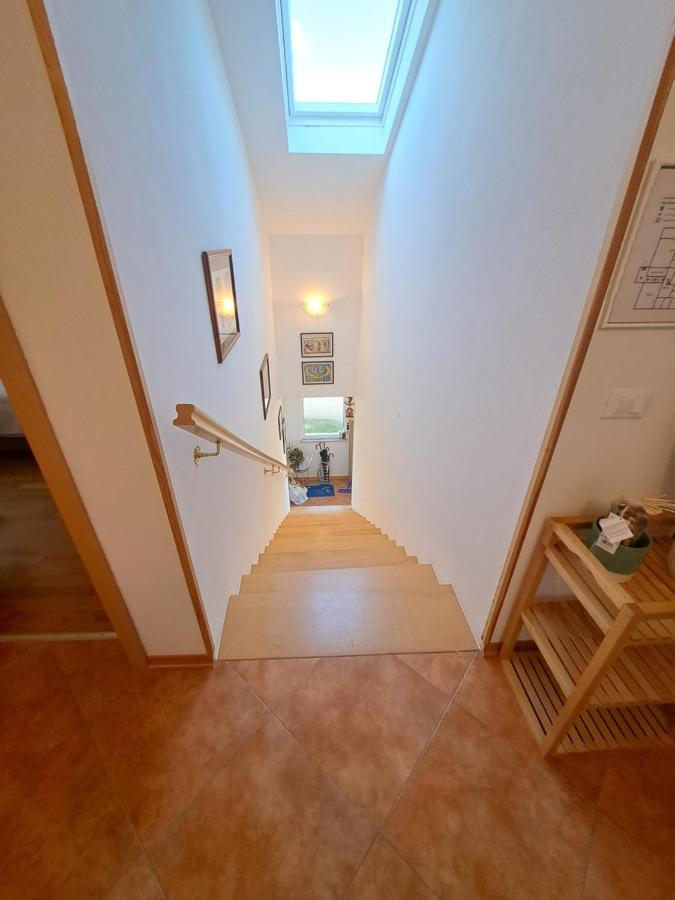 דירות Novigrad Istria Casa Antonio With Swimming Pool מראה חיצוני תמונה