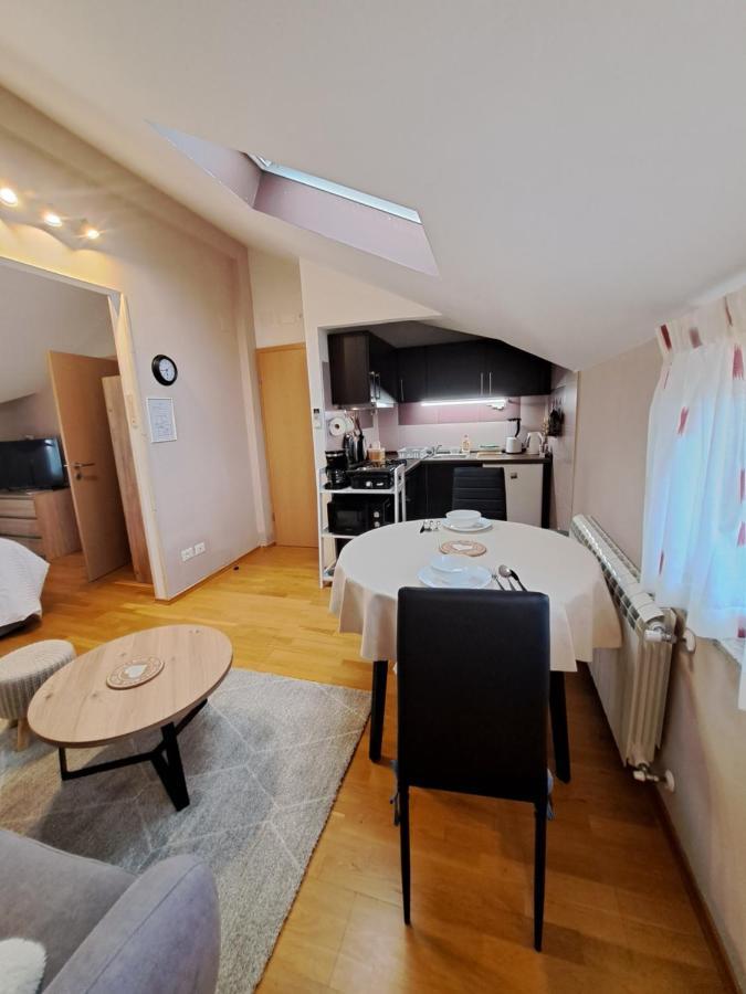 דירות Novigrad Istria Casa Antonio With Swimming Pool מראה חיצוני תמונה
