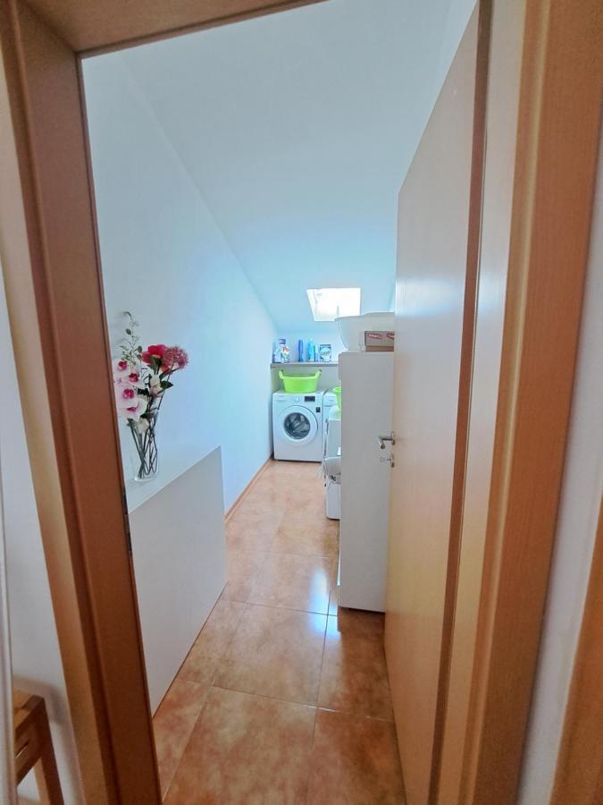 דירות Novigrad Istria Casa Antonio With Swimming Pool מראה חיצוני תמונה